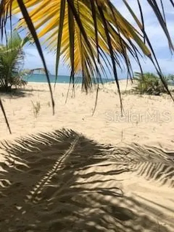 Ii Los Parillas Loiza PR 00772