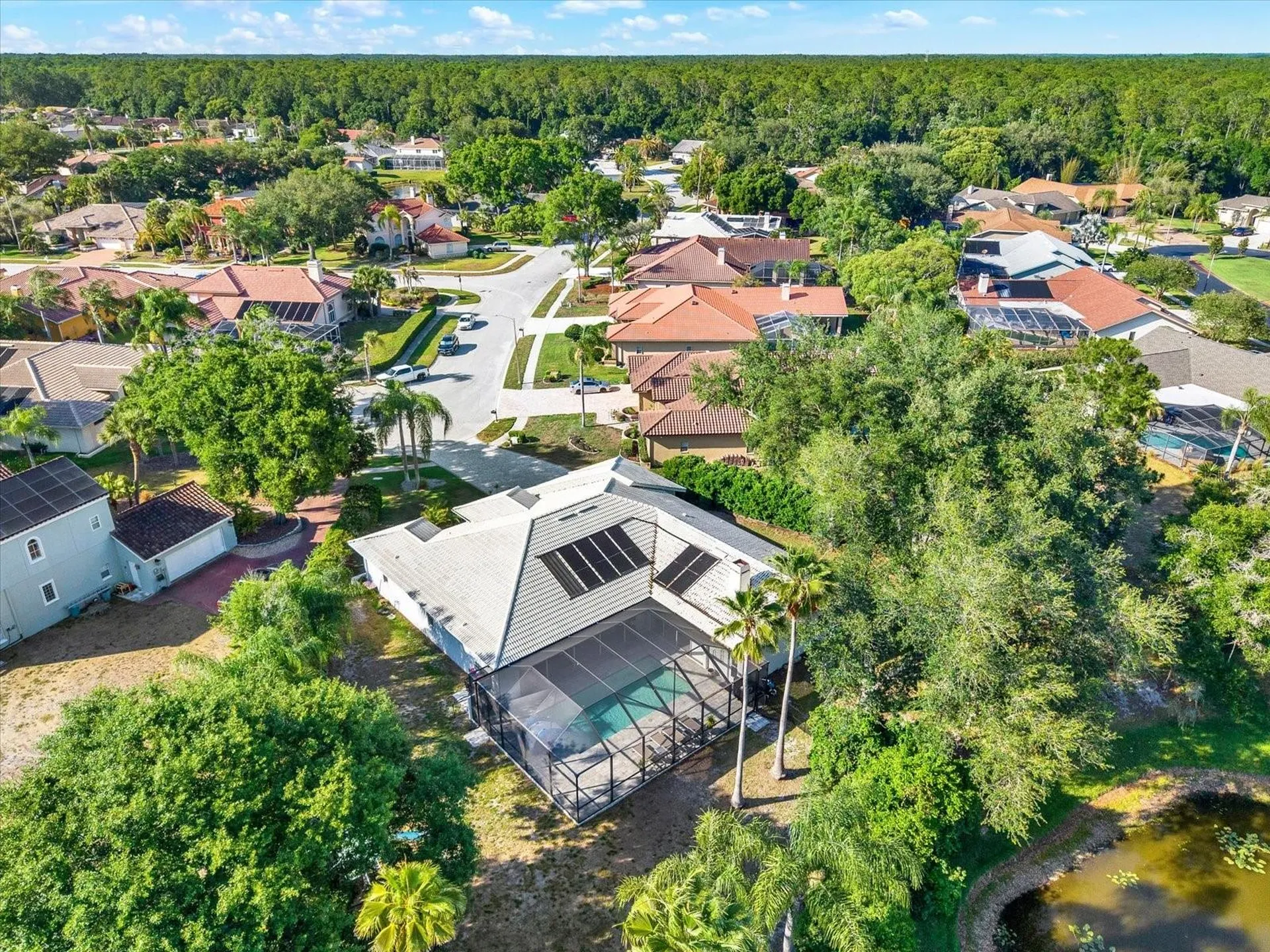 3775 Wellington Parkway Palm Harbor FL 34685