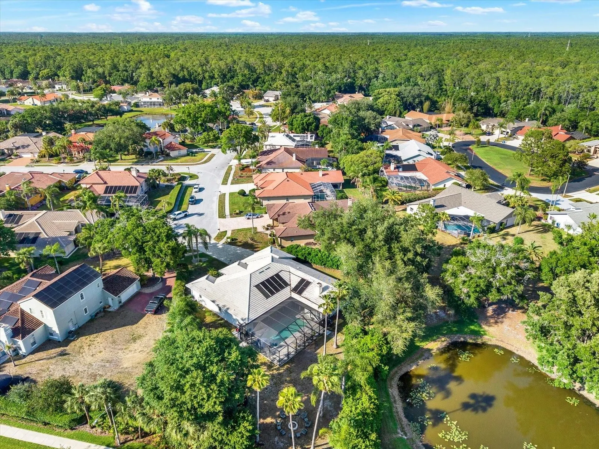 3775 Wellington Parkway Palm Harbor FL 34685