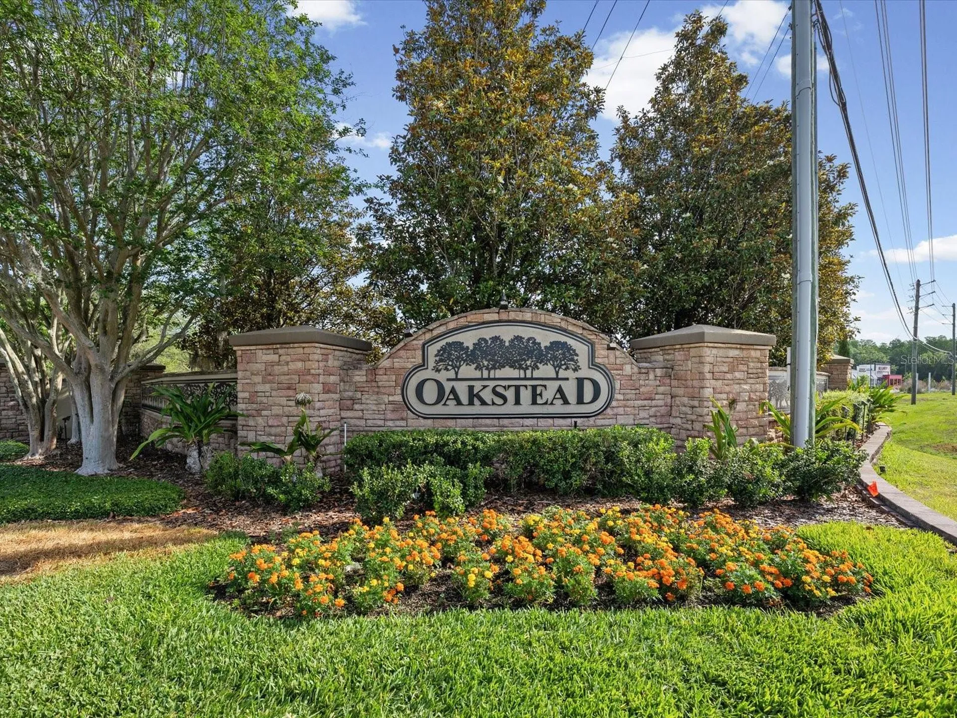 3720 Marbury Court Land O Lakes FL 34638