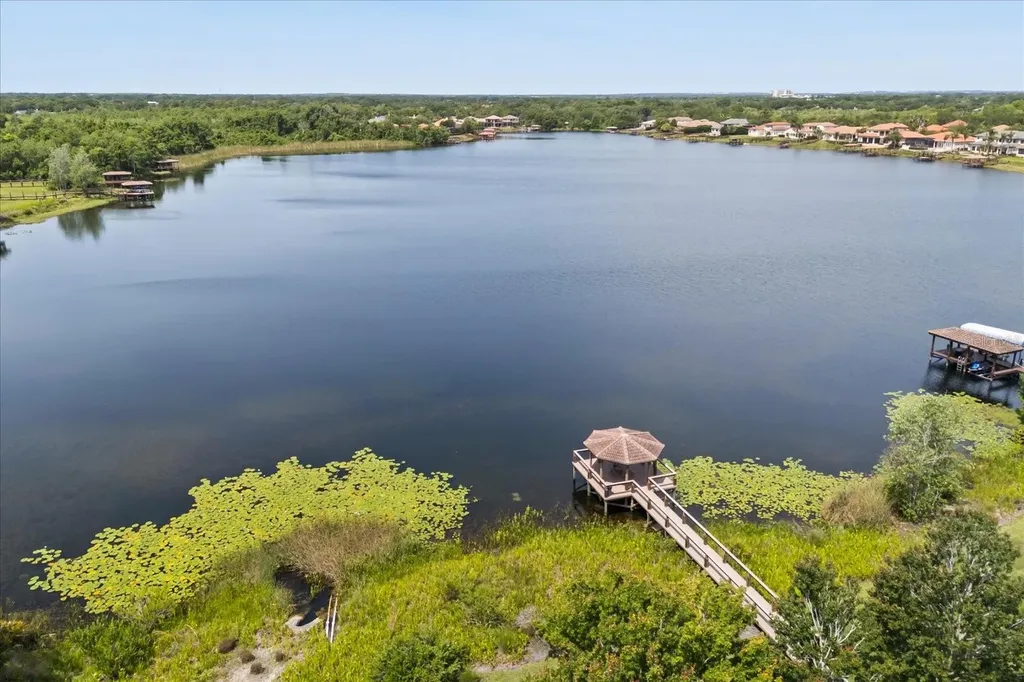 1554 Lake Rhea Drive Windermere FL 34786