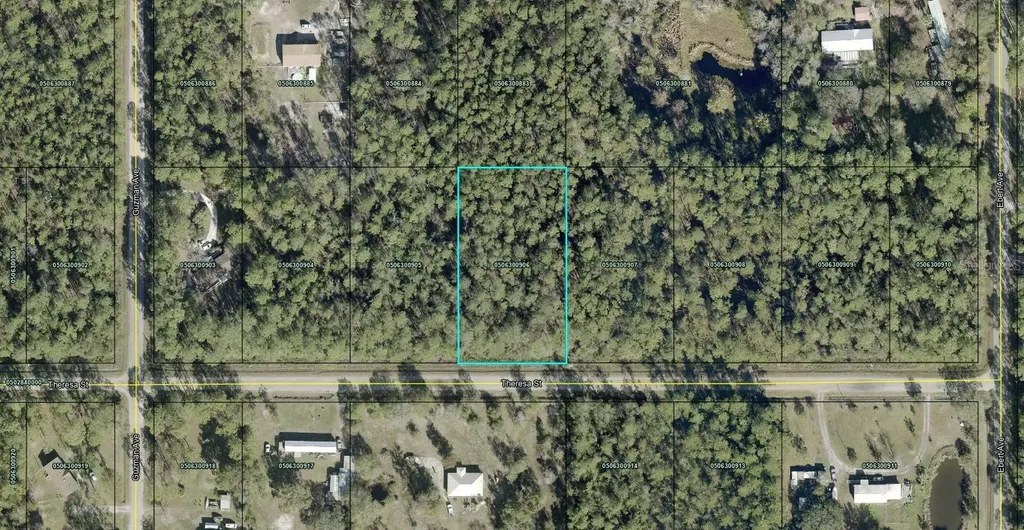 Theresa Street Hastings FL 32145