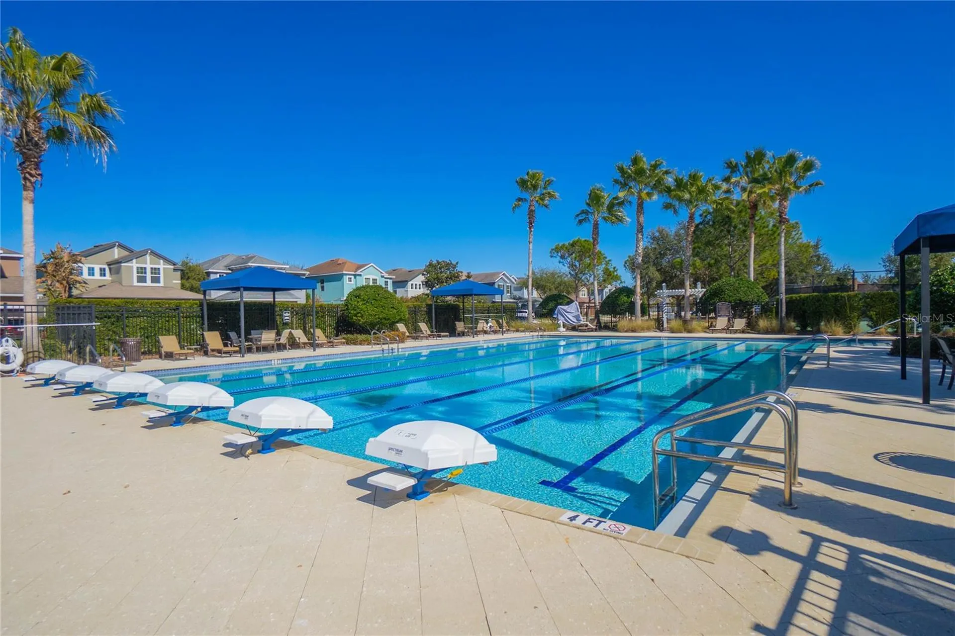 34382 Evergreen Hill Court Wesley Chapel FL 33545