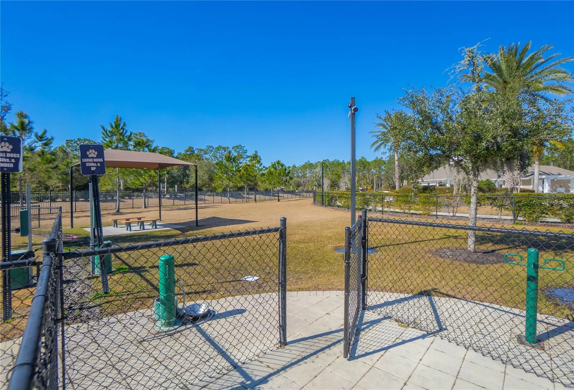 34382 Evergreen Hill Court Wesley Chapel FL 33545