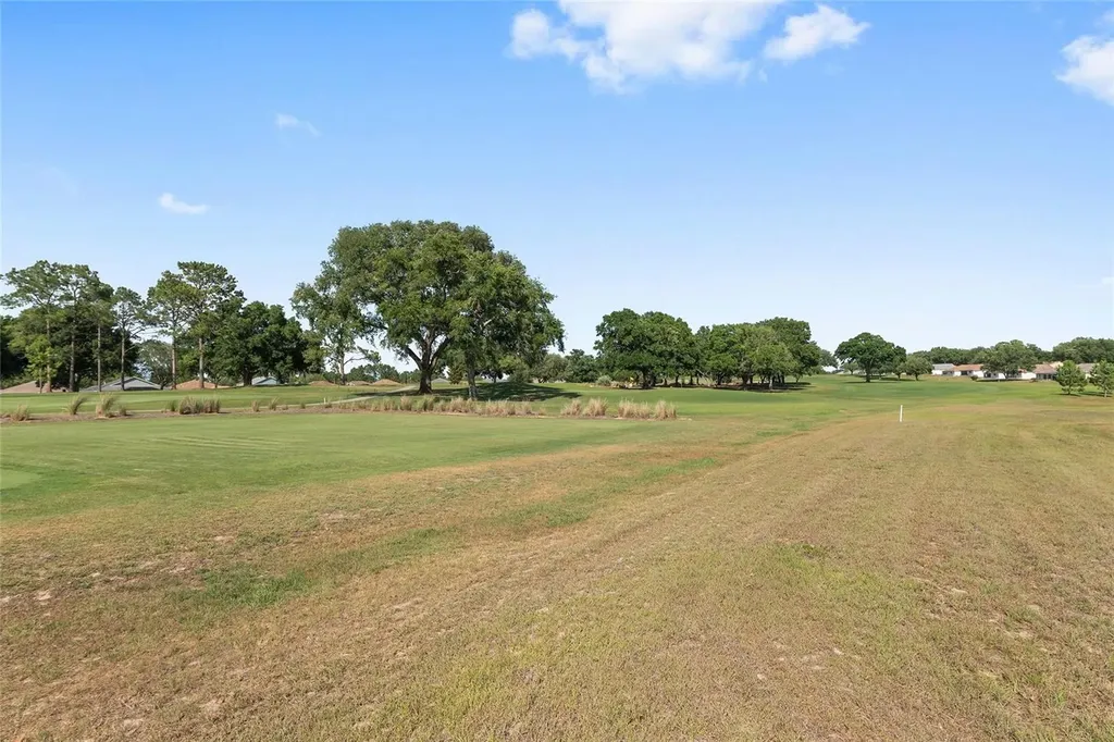 9917 SW 96th Street Ocala FL 34481