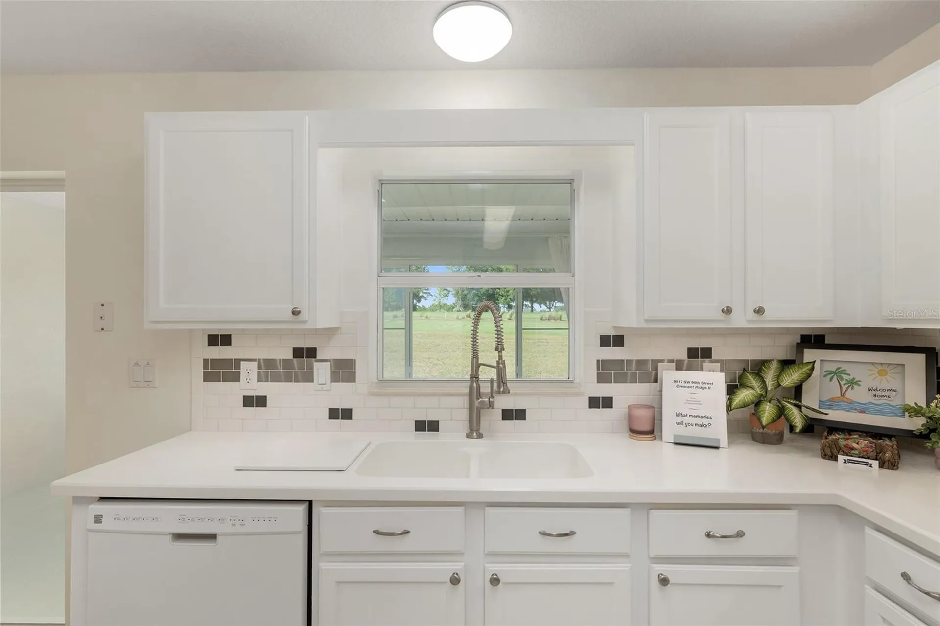 9917 SW 96th Street Ocala FL 34481
