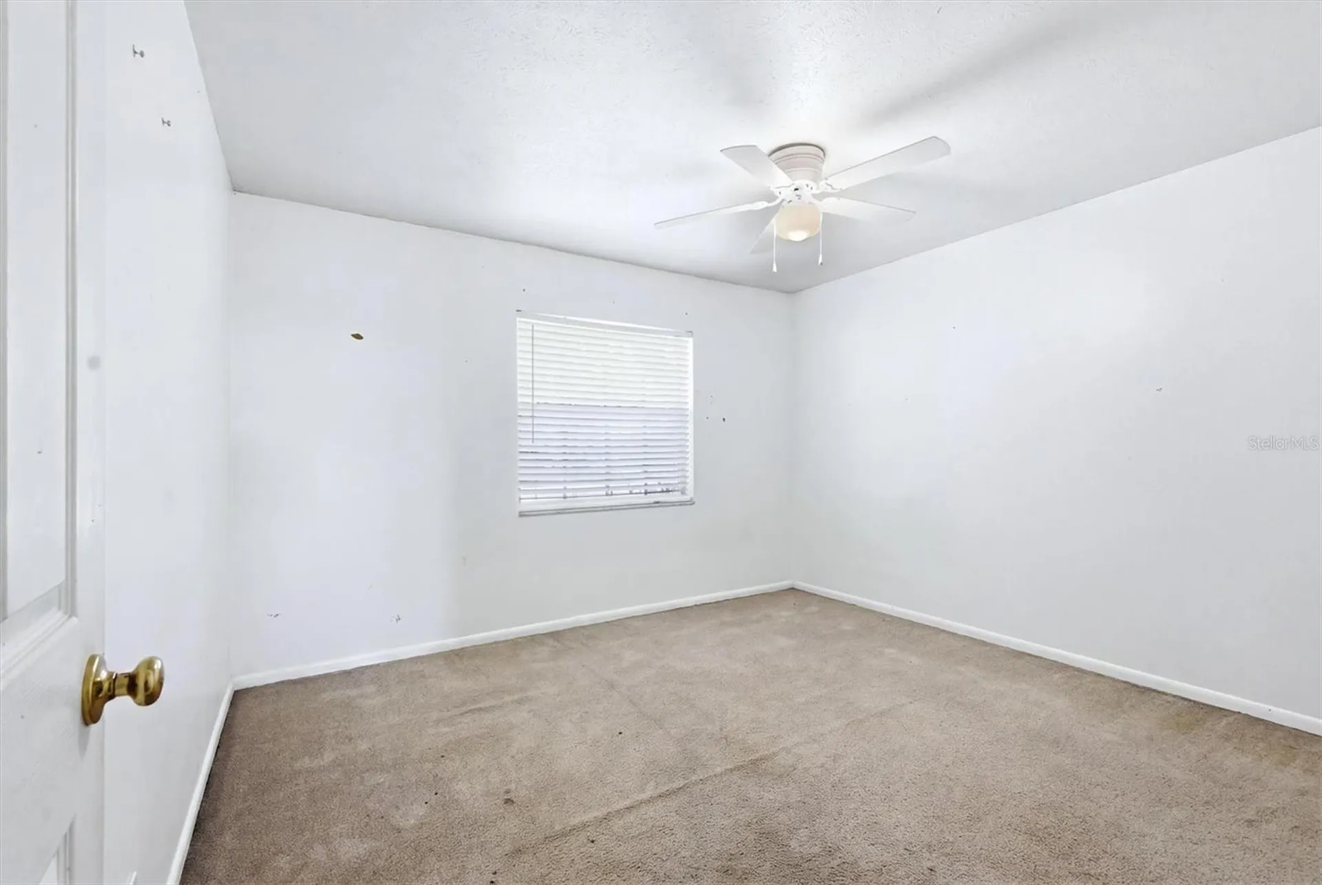 13808 Cherry Brook Lane Tampa FL 33618