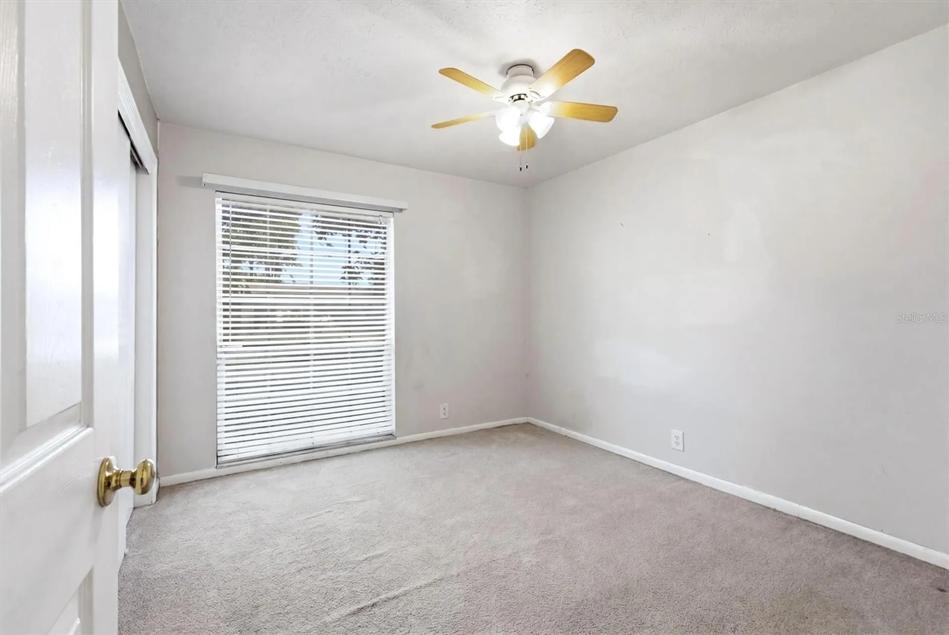 13808 Cherry Brook Lane Tampa FL 33618