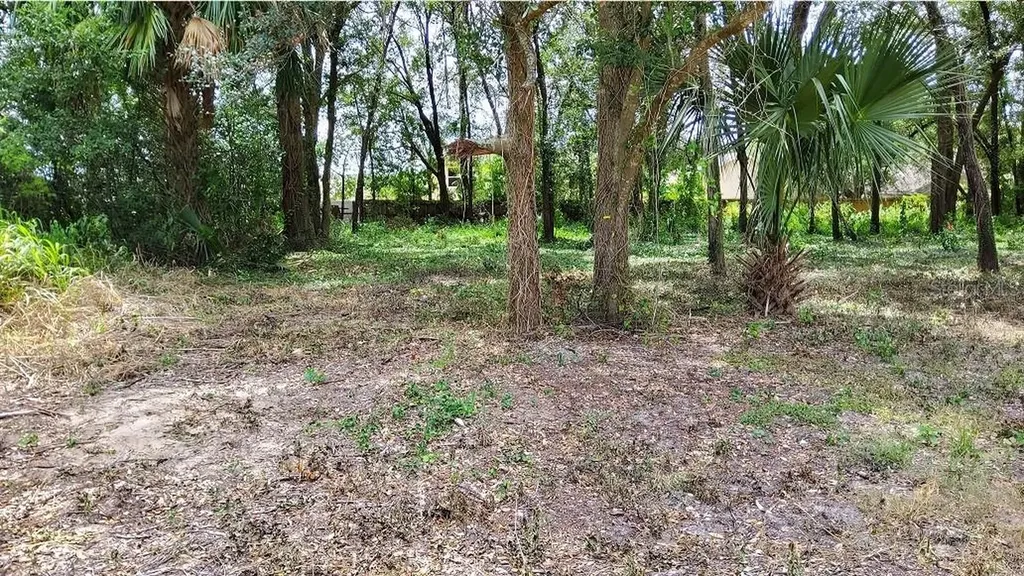25050 Algonquin Avenue Mount Plymouth FL 32776