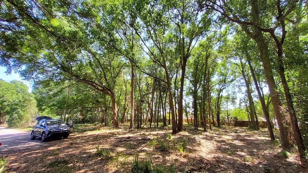 25050 Algonquin Avenue Mount Plymouth FL 32776