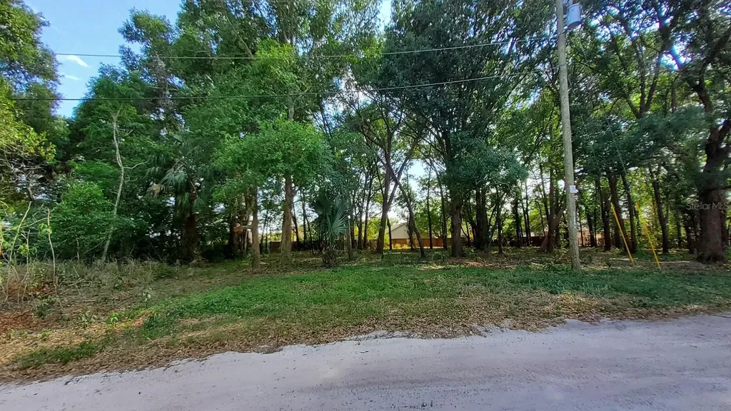 25050 Algonquin Avenue Mount Plymouth FL 32776