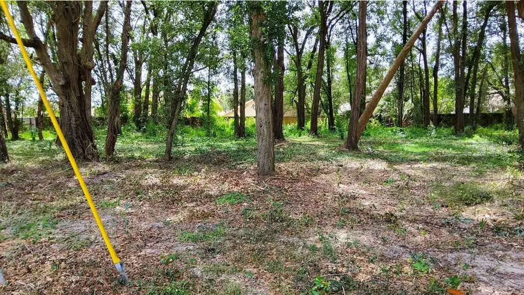 25050 Algonquin Avenue Mount Plymouth FL 32776
