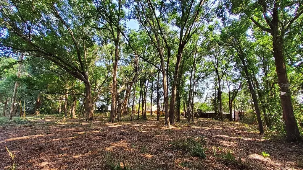 25050 Algonquin Avenue Mount Plymouth FL 32776