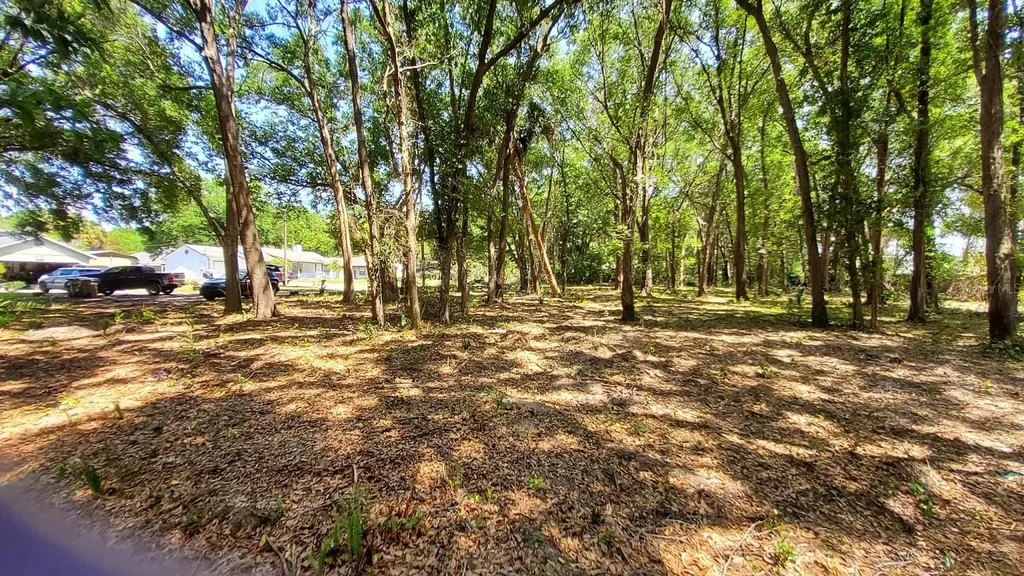 25050 Algonquin Avenue Mount Plymouth FL 32776