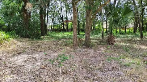 25050 Algonquin Avenue Mount Plymouth FL 32776