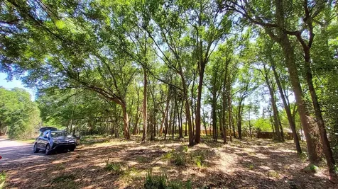 25050 Algonquin Avenue Mount Plymouth FL 32776