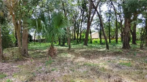 25050 Algonquin Avenue Mount Plymouth FL 32776