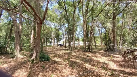 25050 Algonquin Avenue Mount Plymouth FL 32776