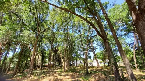 25050 Algonquin Avenue Mount Plymouth FL 32776