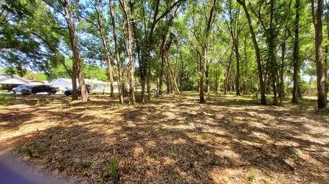 25050 Algonquin Avenue Mount Plymouth FL 32776