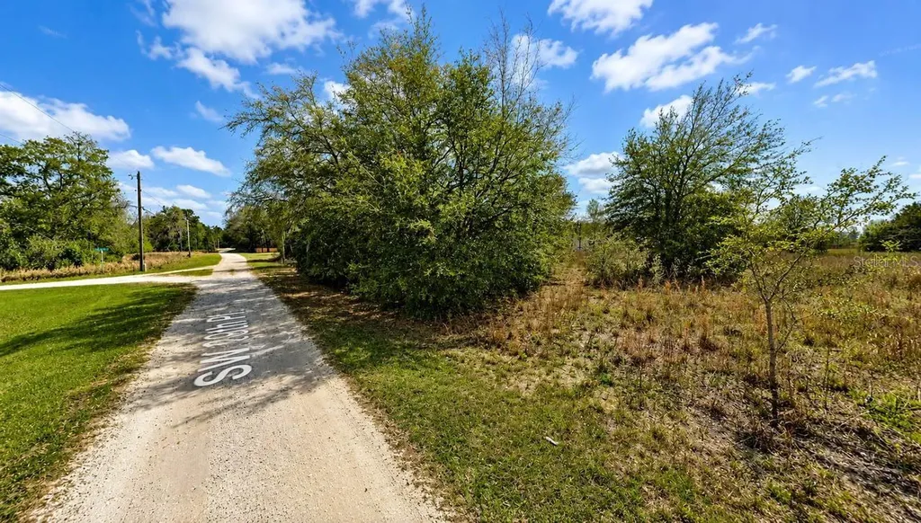 SW 29th Lane Ocala FL 34481
