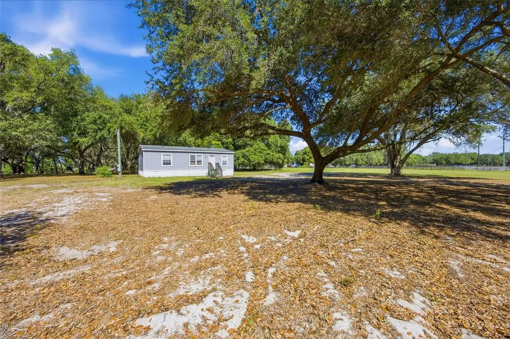 3980 SE 183rd Avenue Road Ocklawaha FL 32179