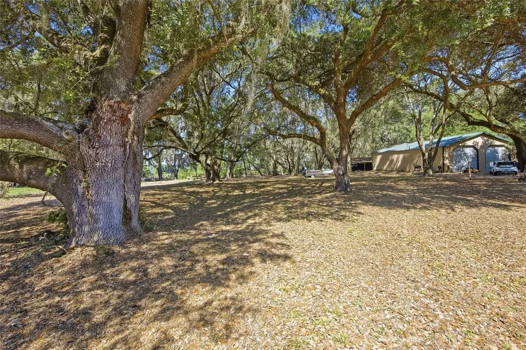 3980 SE 183rd Avenue Road Ocklawaha FL 32179