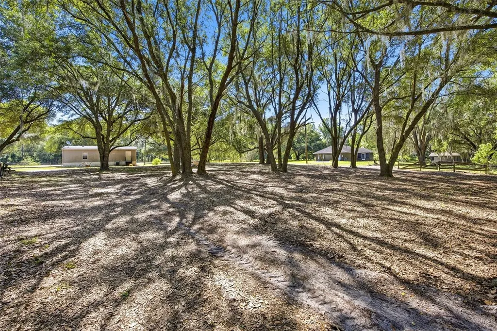 3980 SE 183rd Avenue Road Ocklawaha FL 32179