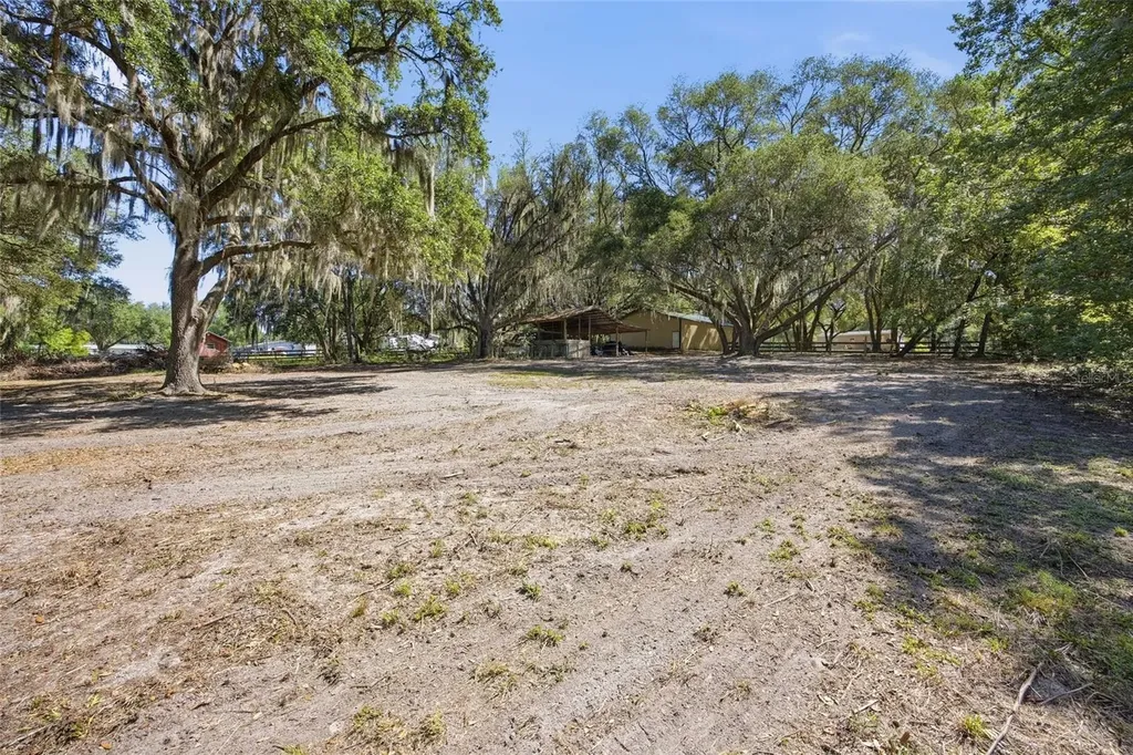 3980 SE 183rd Avenue Road Ocklawaha FL 32179