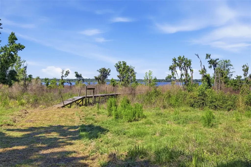 3980 SE 183rd Avenue Road Ocklawaha FL 32179