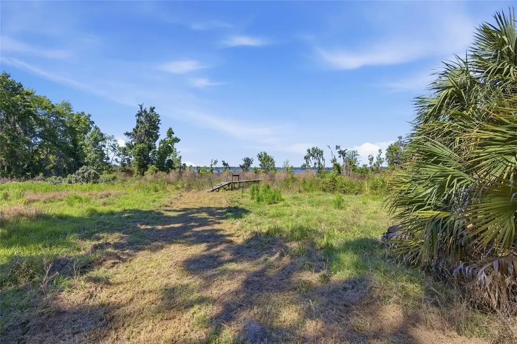 3980 SE 183rd Avenue Road Ocklawaha FL 32179