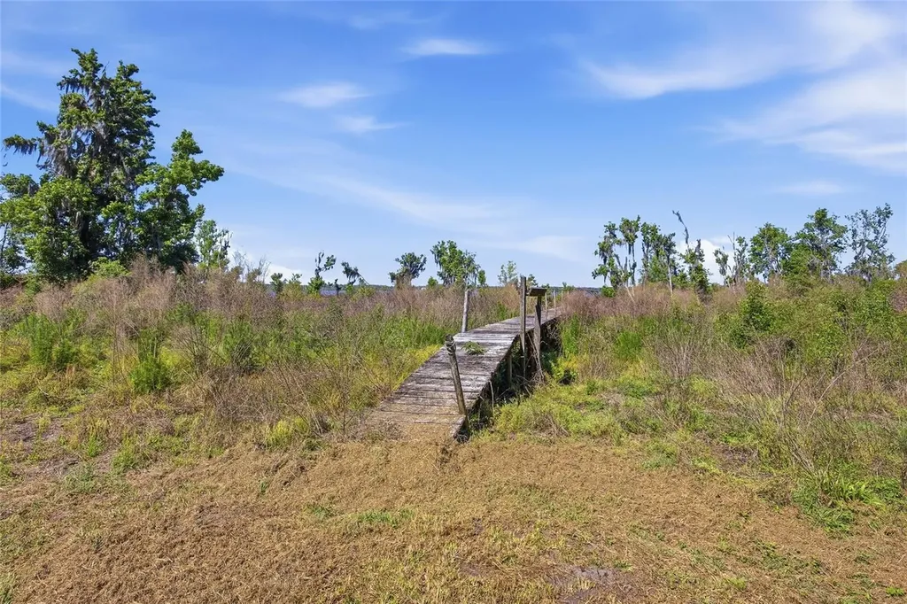 3980 SE 183rd Avenue Road Ocklawaha FL 32179