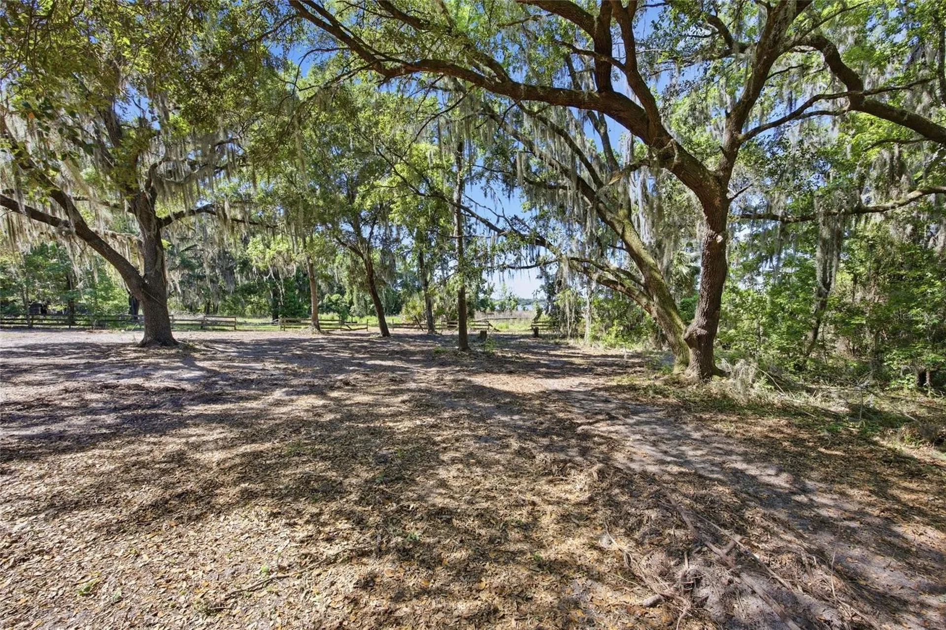 3980 SE 183rd Avenue Road Ocklawaha FL 32179