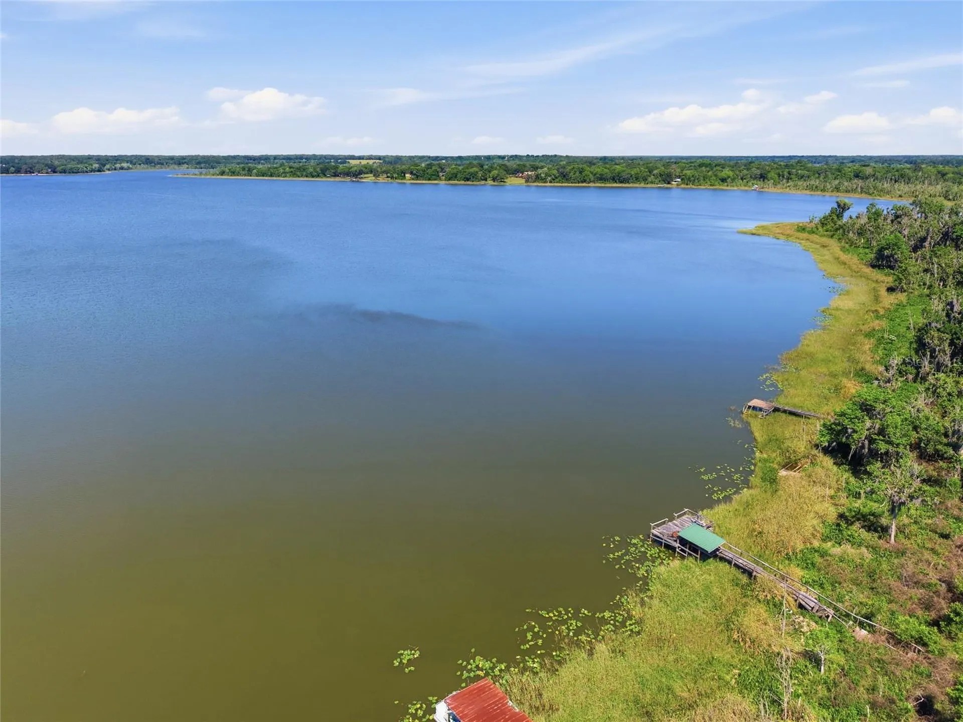 3980 SE 183rd Avenue Road Ocklawaha FL 32179