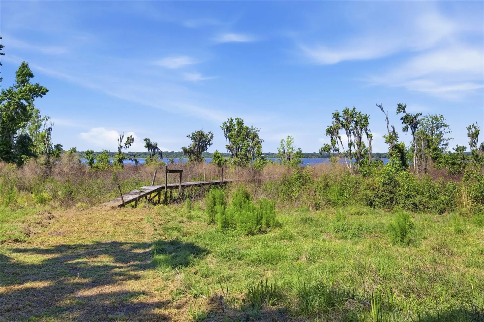 3980 SE 183rd Avenue Road Ocklawaha FL 32179