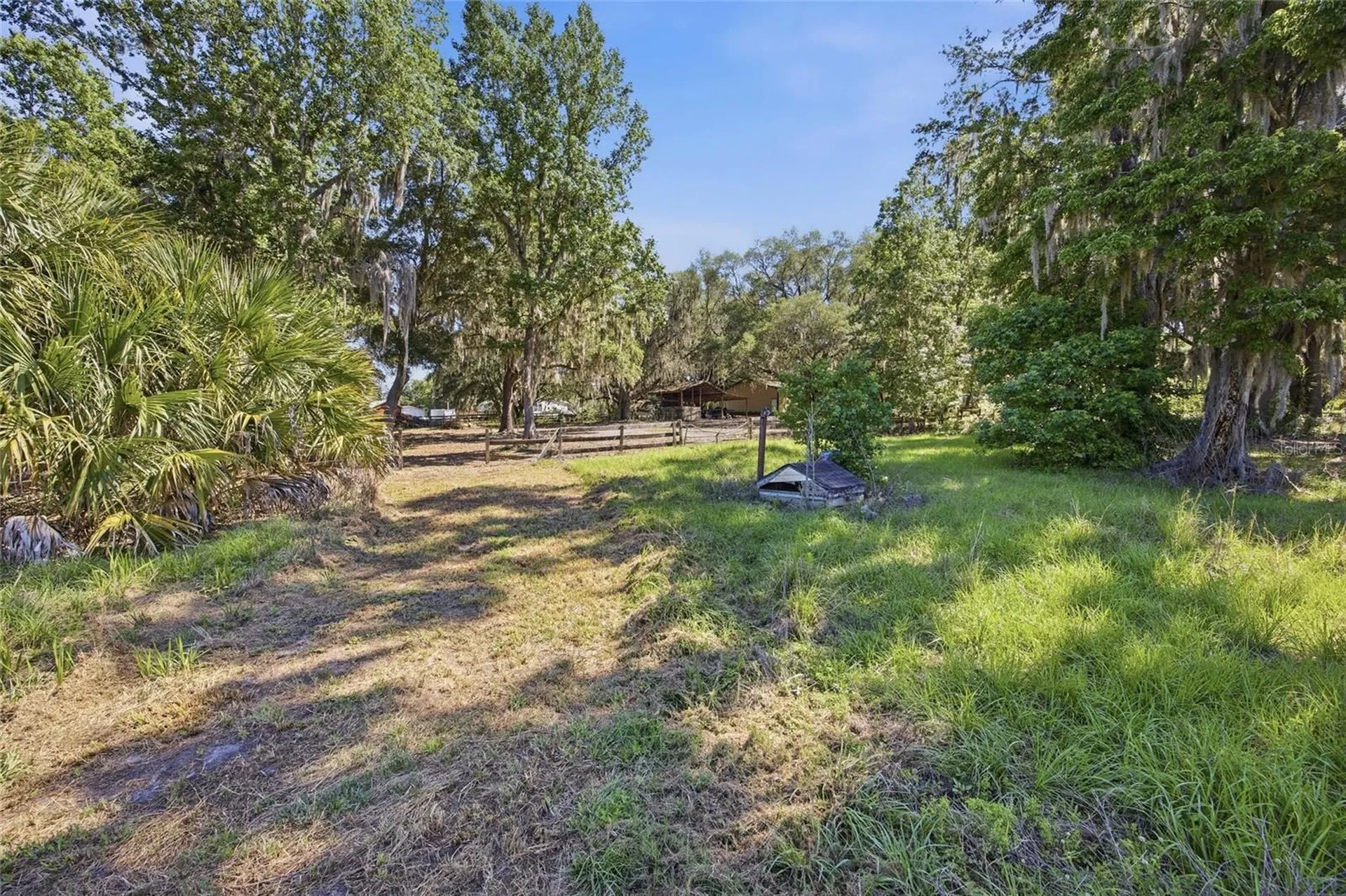 3980 SE 183rd Avenue Road Ocklawaha FL 32179