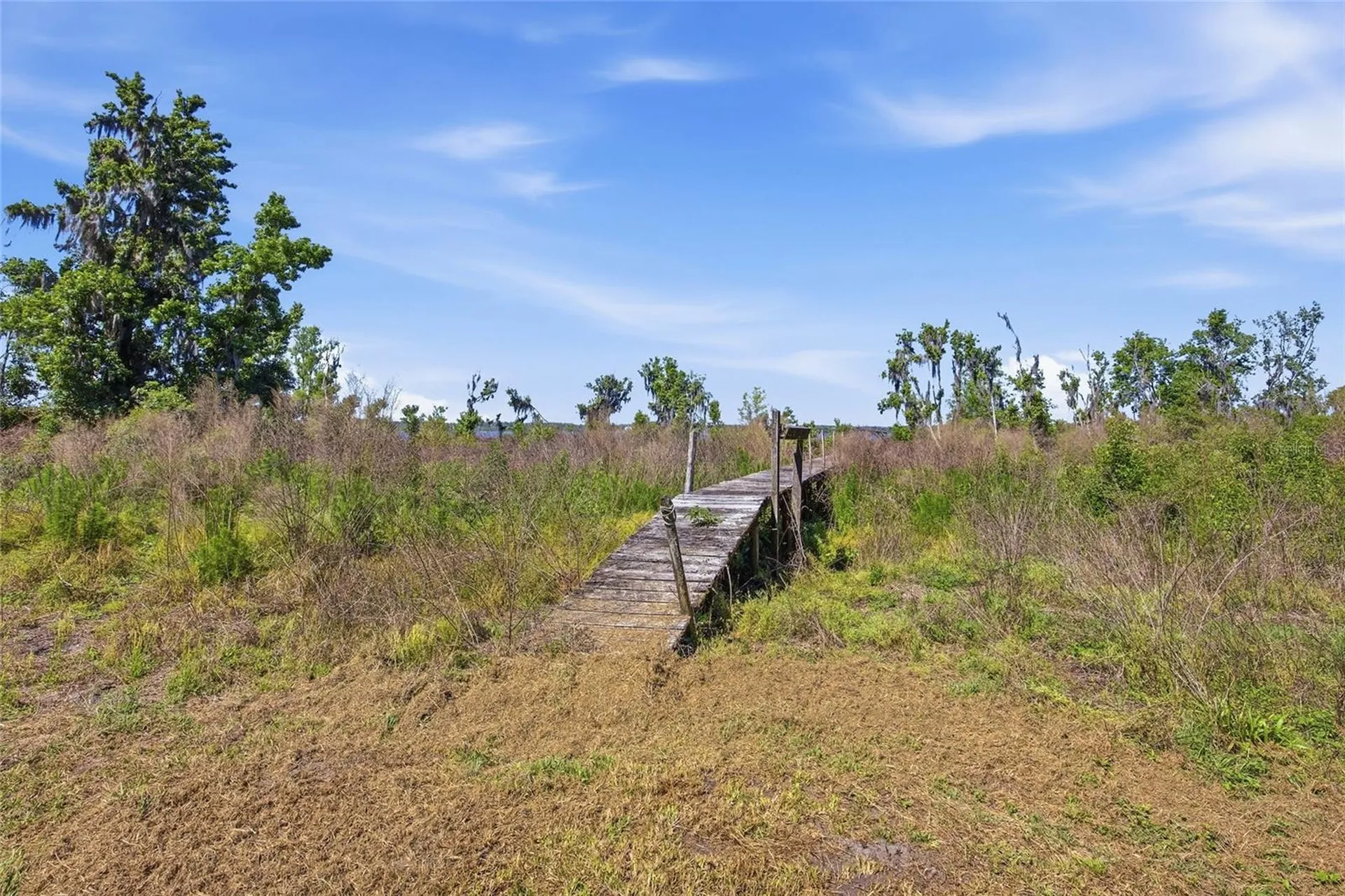 3980 SE 183rd Avenue Road Ocklawaha FL 32179