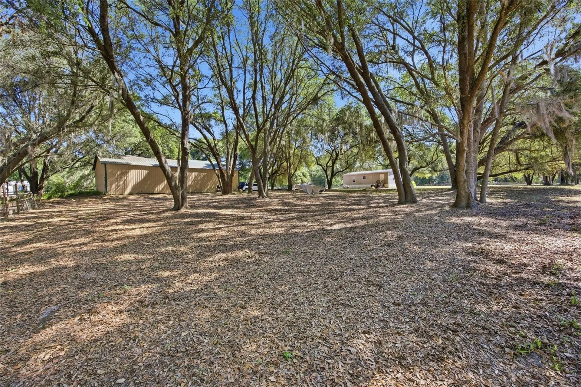 3980 SE 183rd Avenue Road Ocklawaha FL 32179