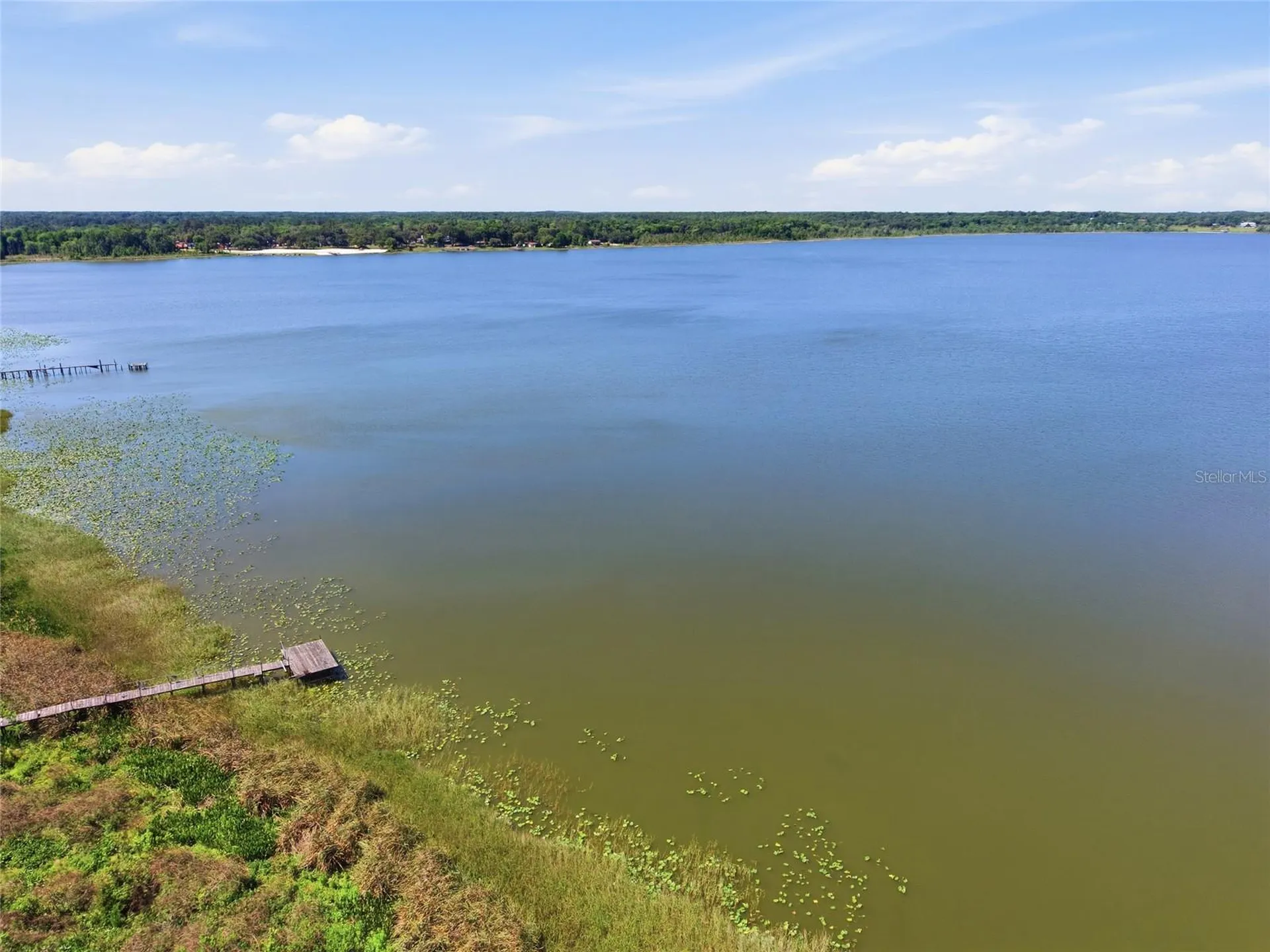 3980 SE 183rd Avenue Road Ocklawaha FL 32179