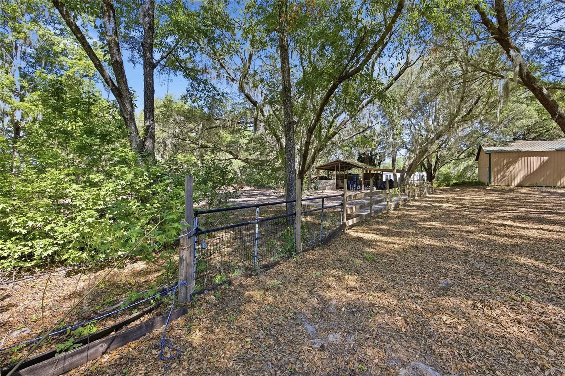 3980 SE 183rd Avenue Road Ocklawaha FL 32179