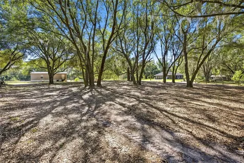 3980 SE 183rd Avenue Road Ocklawaha FL 32179