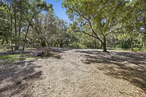 3980 SE 183rd Avenue Road Ocklawaha FL 32179
