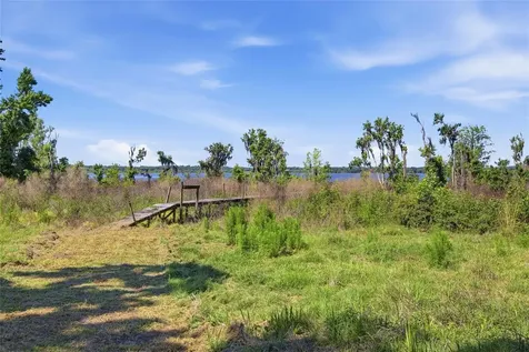 3980 SE 183rd Avenue Road Ocklawaha FL 32179