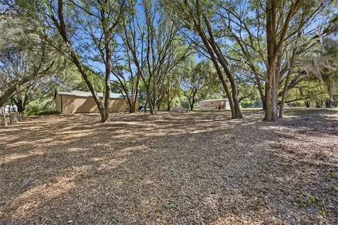3980 SE 183rd Avenue Road Ocklawaha FL 32179