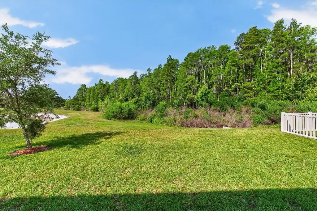 19222 Old Spanish Road Tampa FL 33647