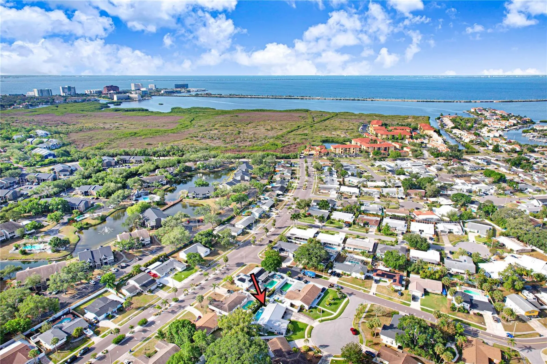 8404 Blackstone Court Tampa FL 33615