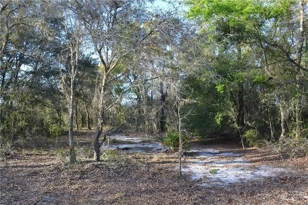 Grandville Hudson FL 34669