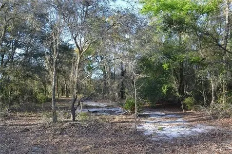 Grandville Hudson FL 34669