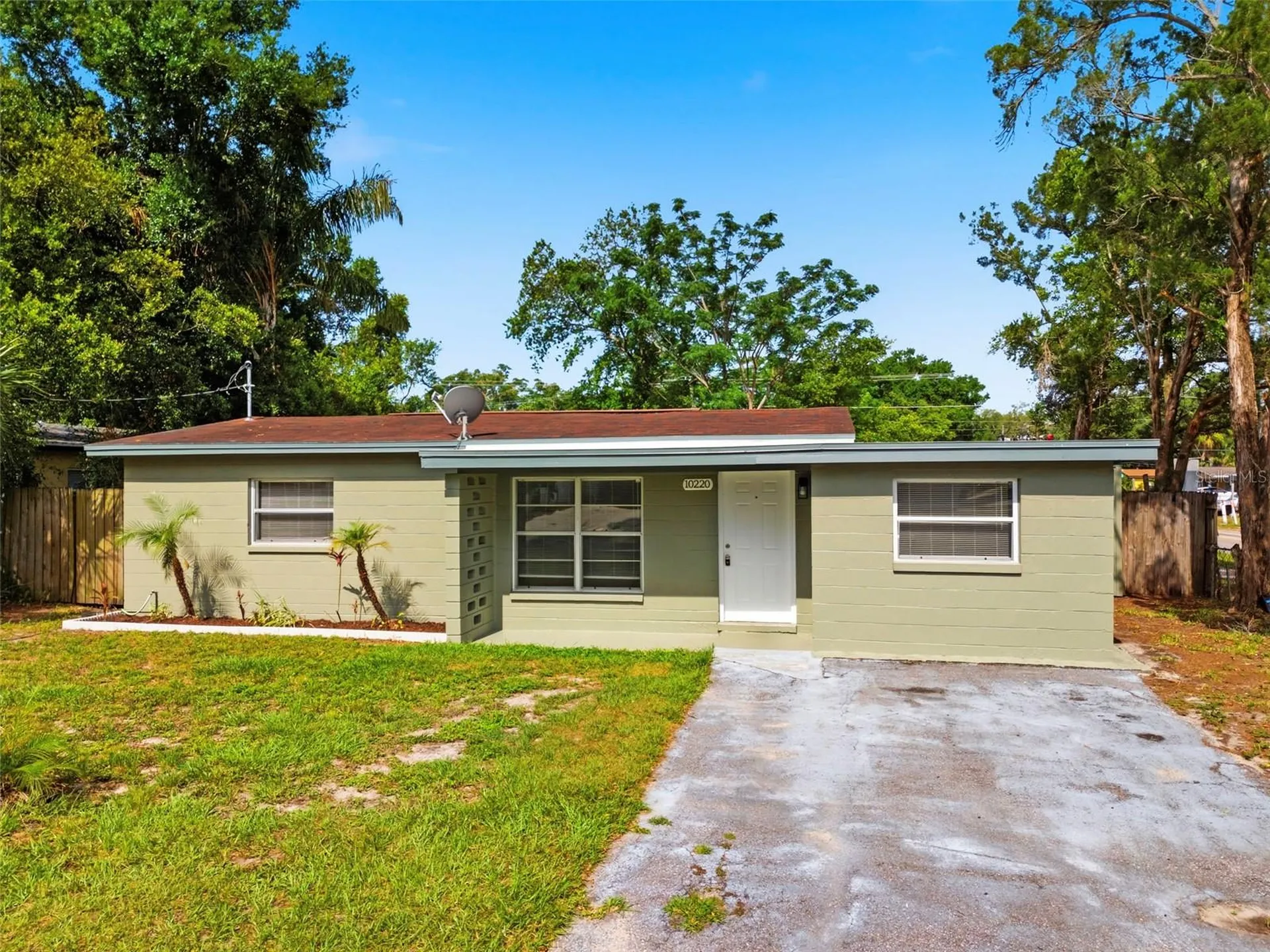 10220 N 23rd Street Tampa FL 33612