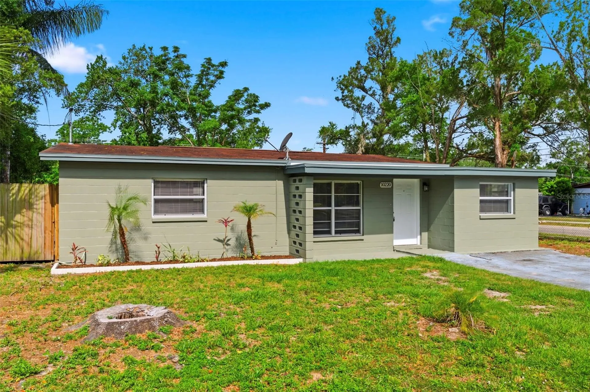 10220 N 23rd Street Tampa FL 33612